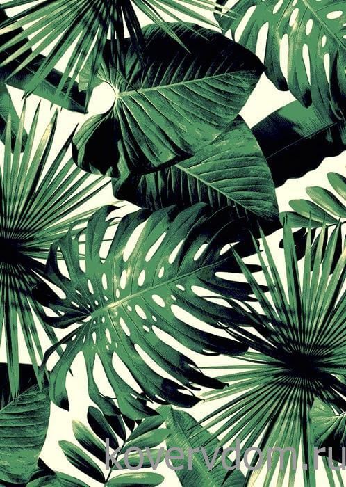 Ковер с цветами SCANDINAVIAN MONSTERA 10 Ковер с цветами SCANDINAVIAN MONSTERA 10